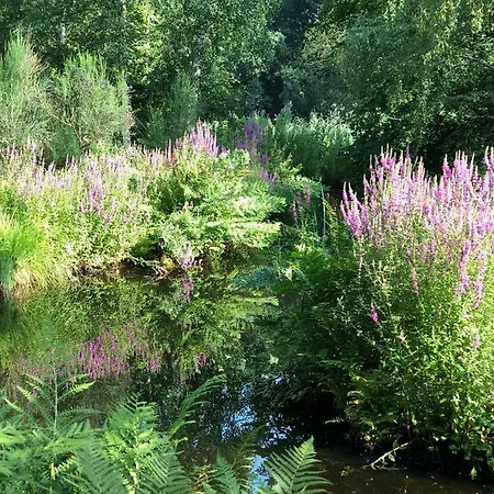 Cozy Amsterdam Lejlighed Amstelveen